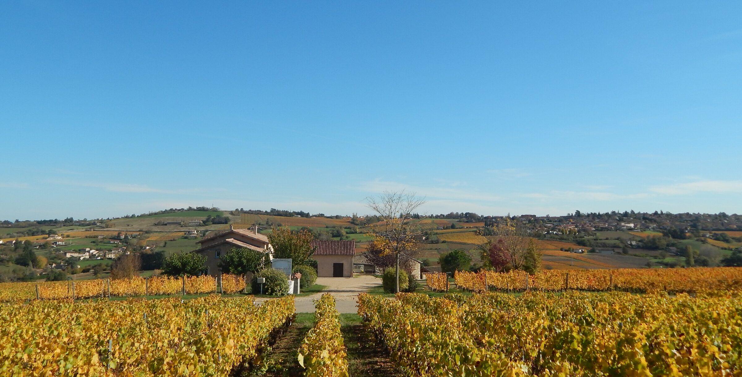 Le Domaine
