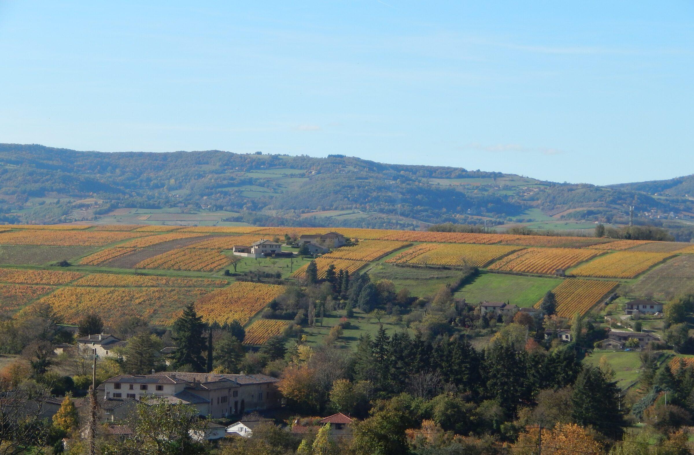 Notre région - Le Beaujolais