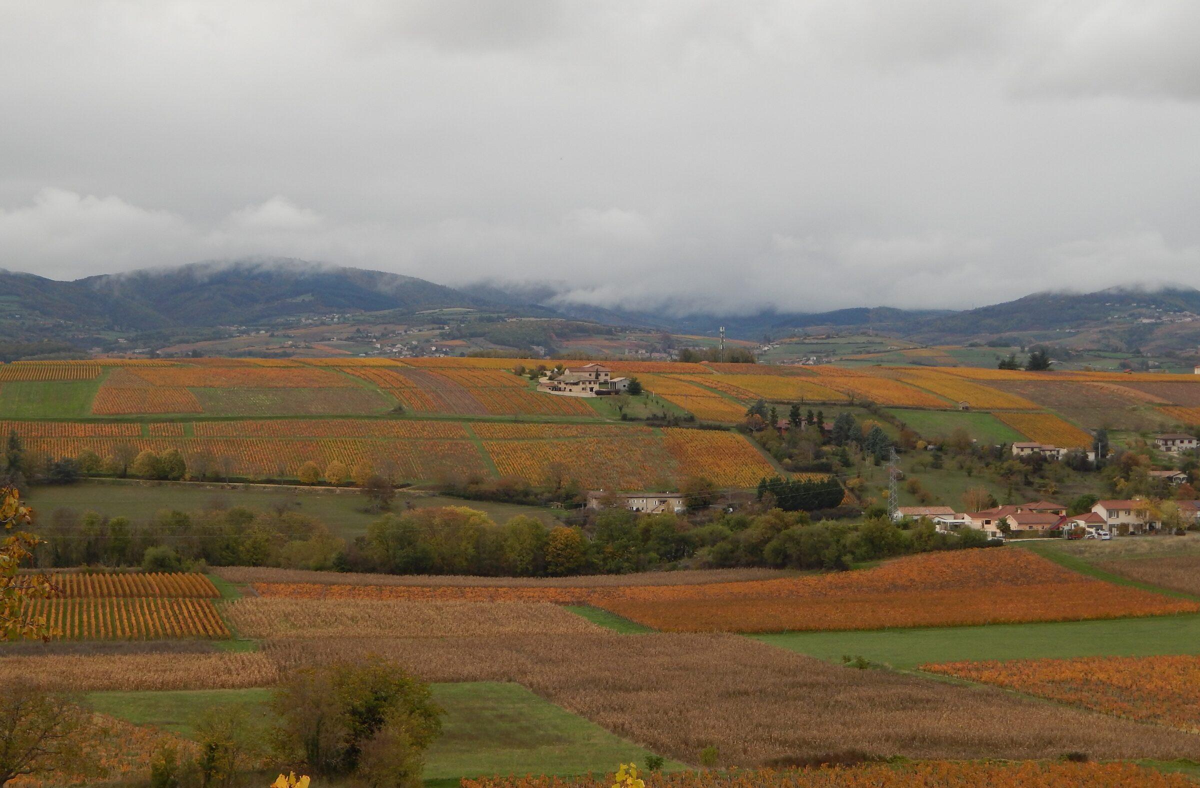 Le Domaine