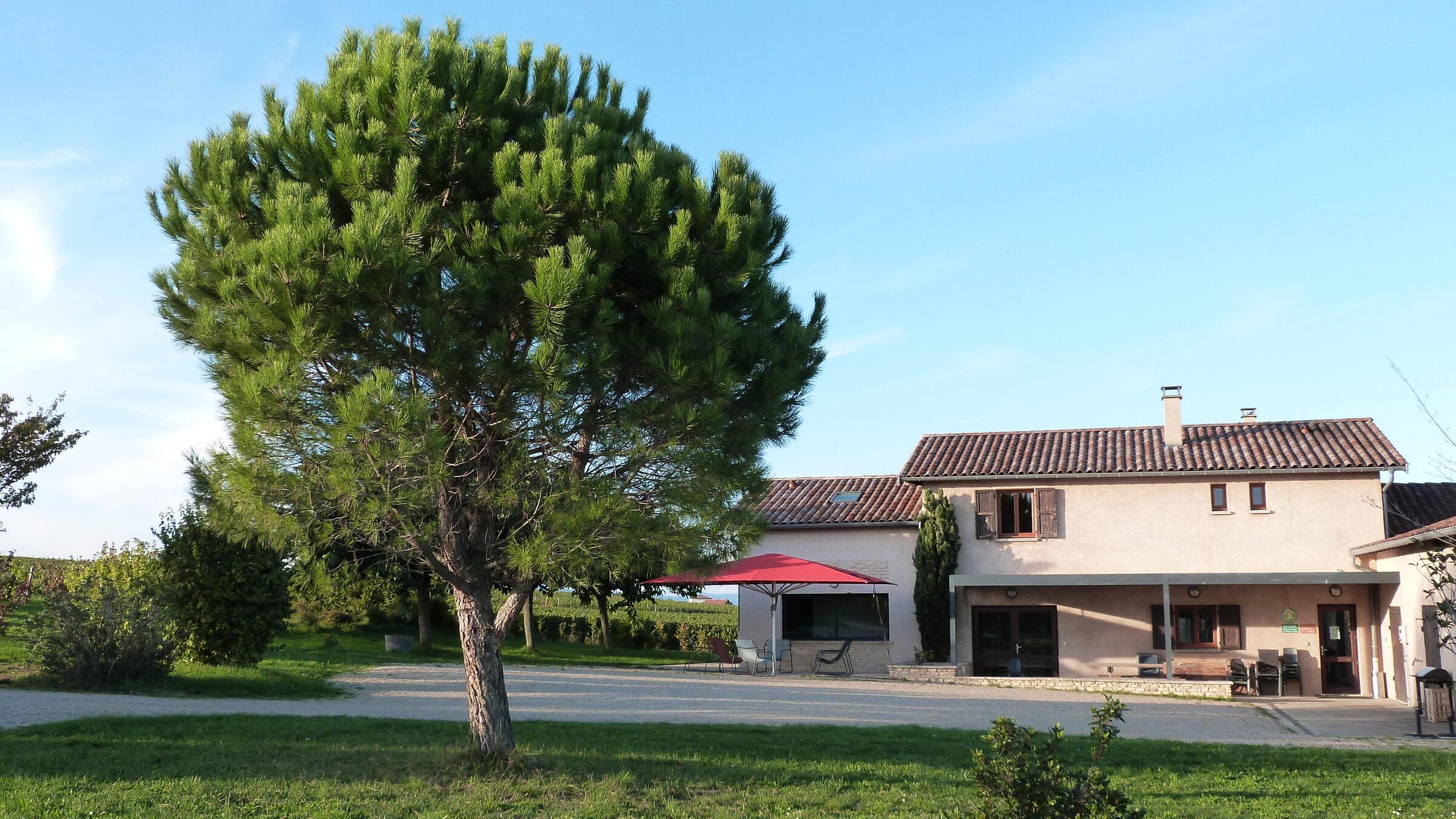Le Domaine