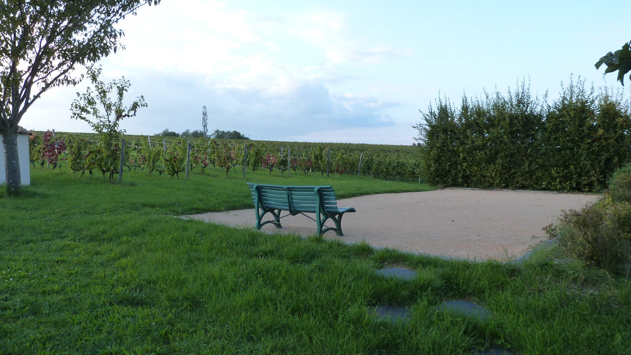 Terrain de boules du gîte bordé par les vignes