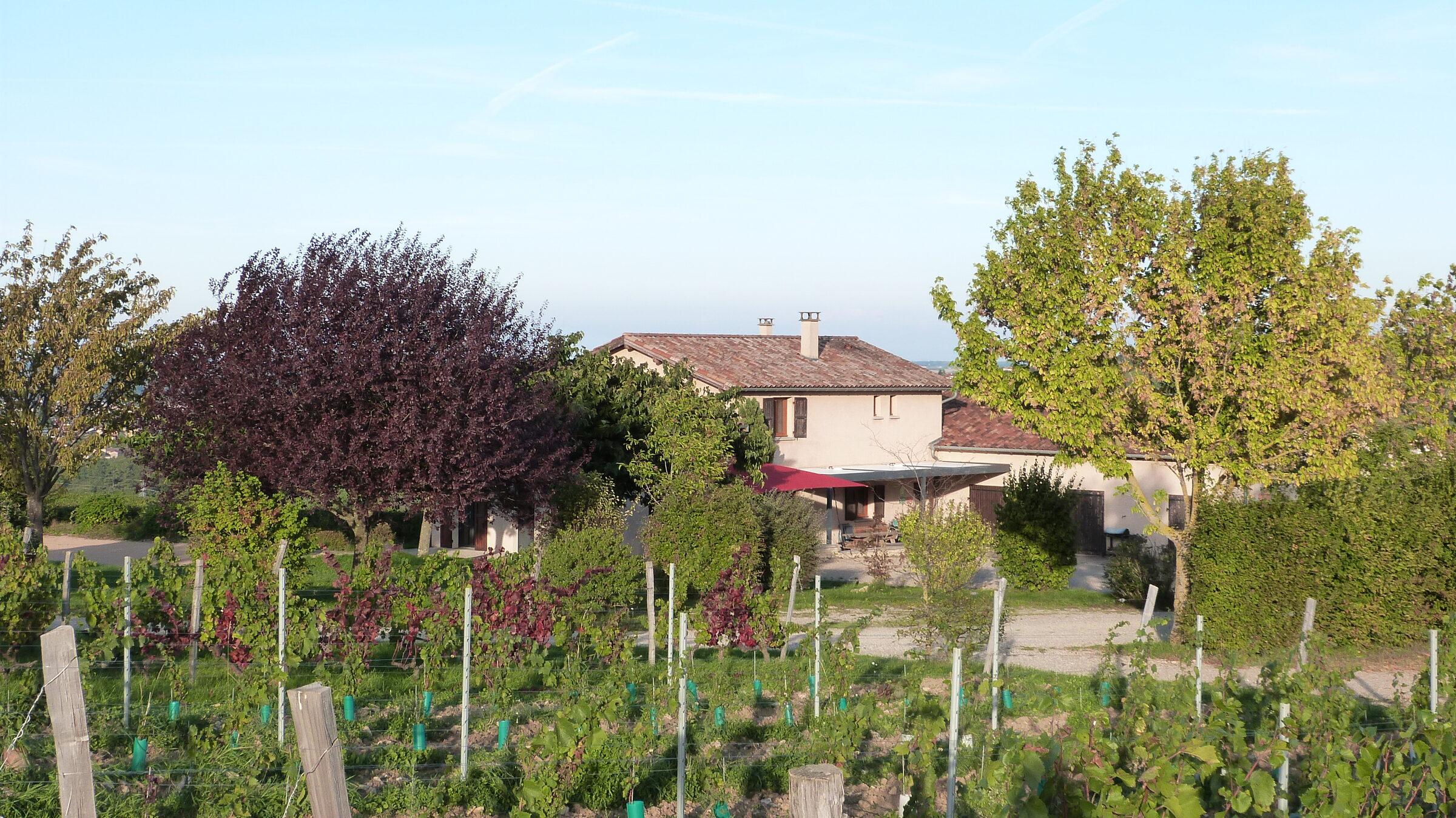Gîte de groupe du Domaine Berger des Vignes au milieu des vignes