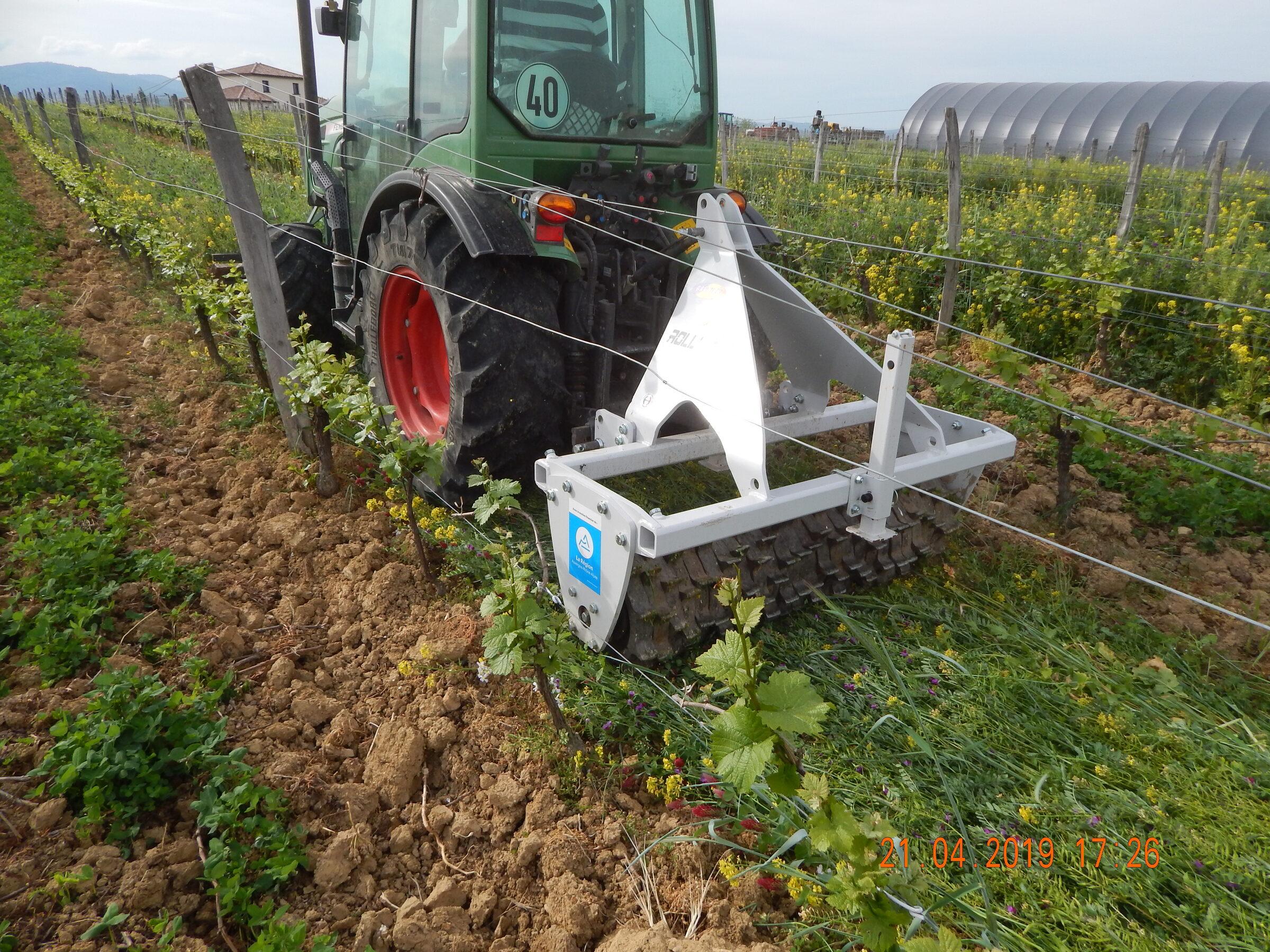 Le Vignoble